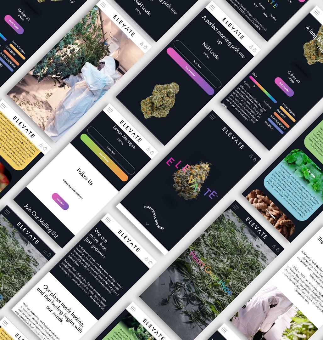 Elevate Cannabis Services: Website Development, Design by Sarah Gwan
